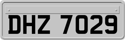 DHZ7029