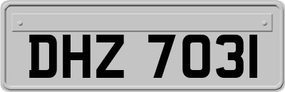 DHZ7031