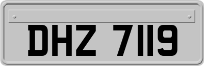 DHZ7119