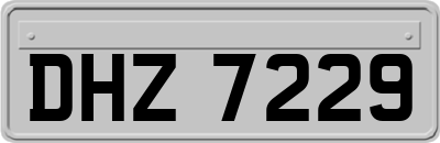 DHZ7229