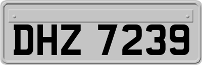 DHZ7239