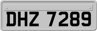 DHZ7289