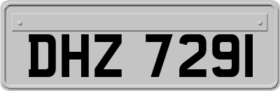 DHZ7291