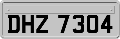 DHZ7304