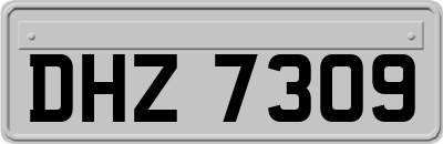 DHZ7309