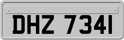 DHZ7341
