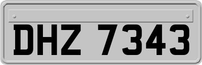 DHZ7343