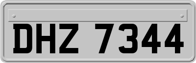 DHZ7344