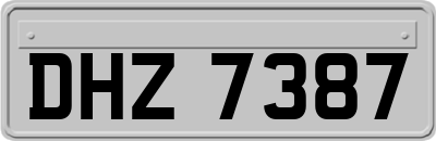DHZ7387