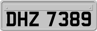 DHZ7389