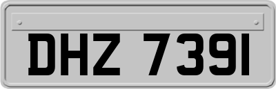 DHZ7391