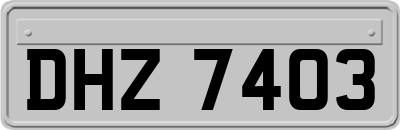 DHZ7403