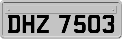 DHZ7503