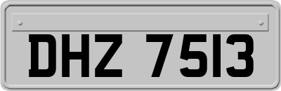 DHZ7513