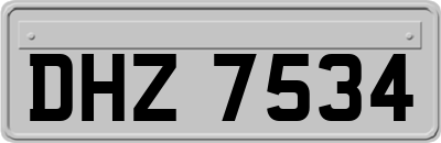DHZ7534