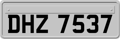DHZ7537
