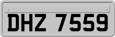 DHZ7559