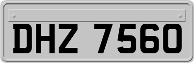 DHZ7560
