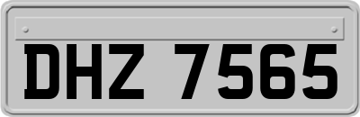 DHZ7565