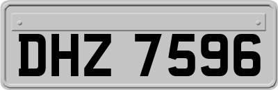 DHZ7596