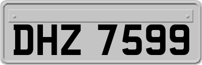 DHZ7599