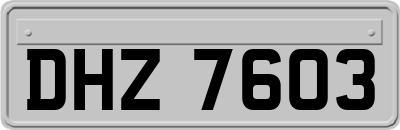 DHZ7603