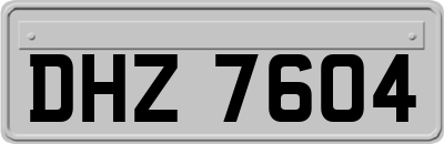 DHZ7604