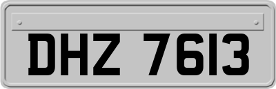 DHZ7613