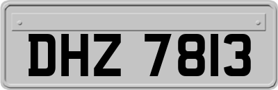 DHZ7813