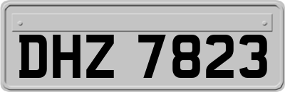DHZ7823