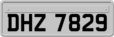 DHZ7829