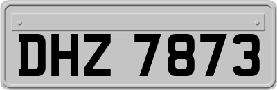 DHZ7873