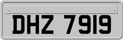 DHZ7919