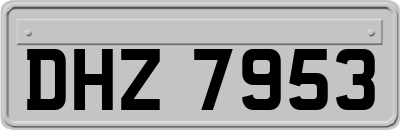 DHZ7953