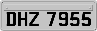 DHZ7955