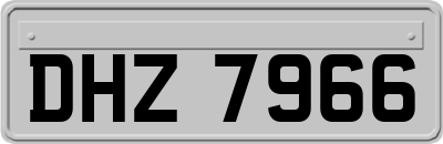 DHZ7966