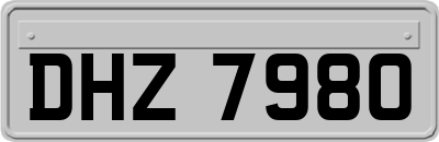 DHZ7980