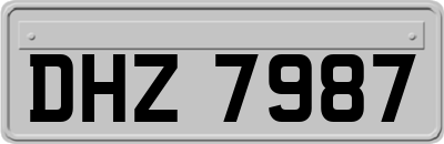 DHZ7987