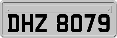 DHZ8079