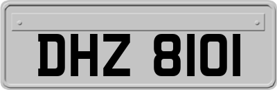DHZ8101