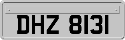 DHZ8131