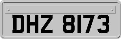 DHZ8173