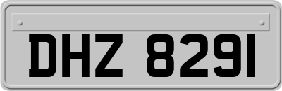 DHZ8291