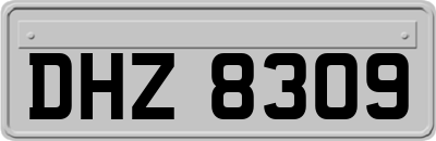 DHZ8309
