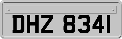DHZ8341
