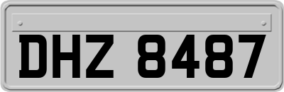 DHZ8487