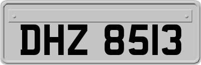 DHZ8513