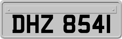 DHZ8541