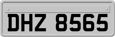 DHZ8565