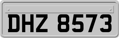 DHZ8573